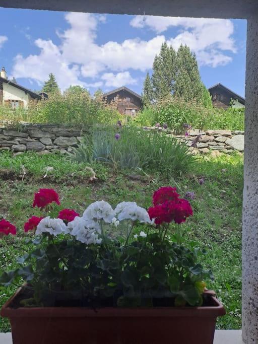 Vacances En Tout Tranquillite A Vercorin Exteriér fotografie