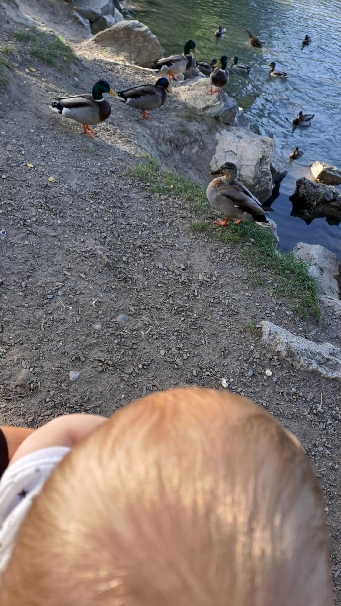 Vacances En Tout Tranquillite A Vercorin Exteriér fotografie